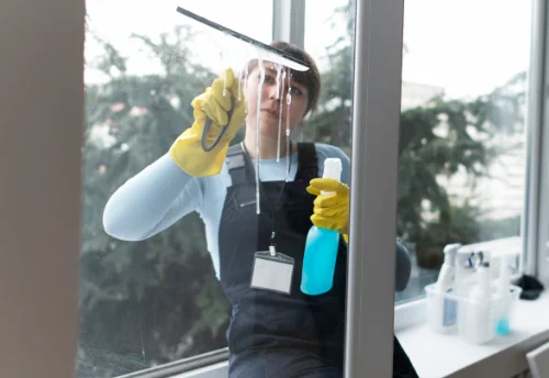 Nettoyage de vitres intérieures et extérieures à la Motte-en-Bauges